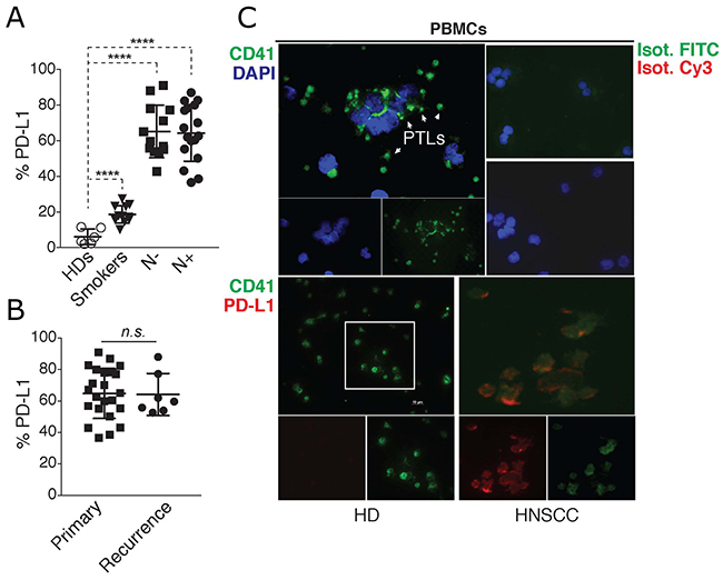 PD-L1 is up-regulated in blood immune cells and platelets of HNSCC patients.