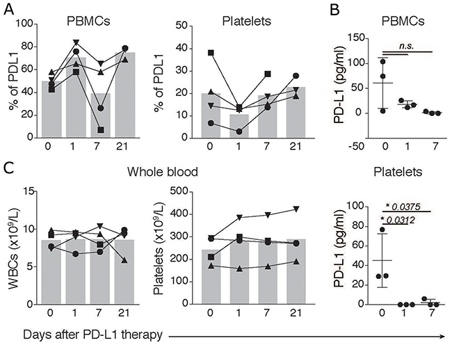 PD-L1 in platelets and PBMCs is affected by atezolizumab.