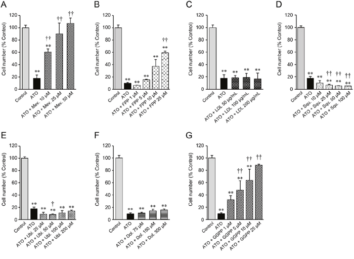 Cell number of statin-sensitive HOP-92 cells treated with atorvastatin and various intermediate metabolites of the mevalonate pathway.