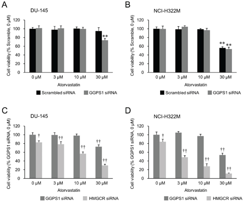 Effects of atorvastatin on HMGCR knockdown- versus GGPS1 knockdown statin-resistant cells.