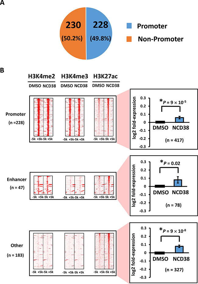 Distribution of H3K27ac-increased regions following NCD38 treatment.