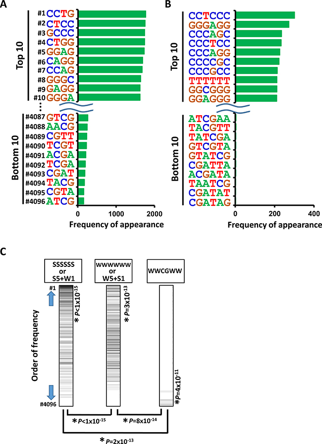 Appearance of DNA sequences in regions activated by NCD38.