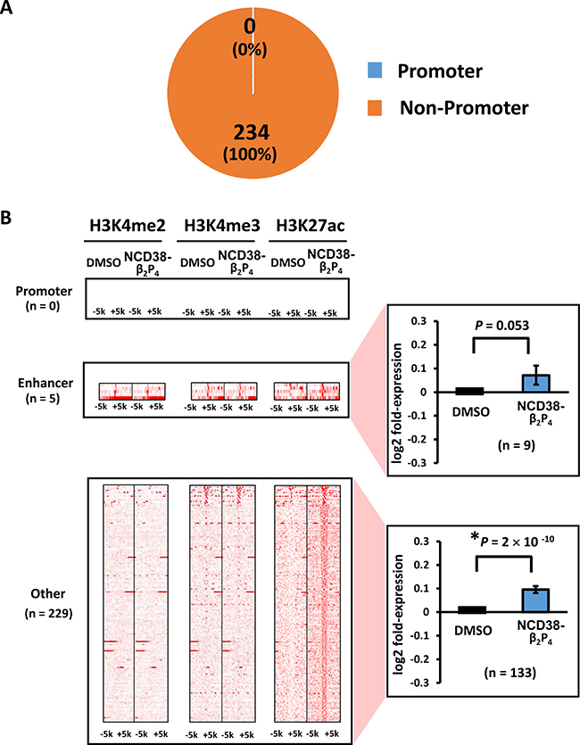 Distribution of H3K27ac-increased regions following NCD38-&#x03B2;2P4 treatment.