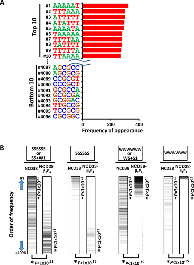 Appearance of DNA sequences in regions activated by NCD38-&#x03B2;2P4.