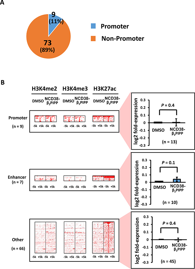 Distribution of the H3K27ac-increased regions following NCD38-&#x03B2;2PIPP treatment.