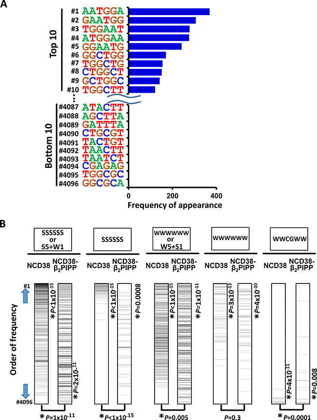 Appearance of DNA sequences in regions activated by NCD38-&#x03B2;2PIPP.