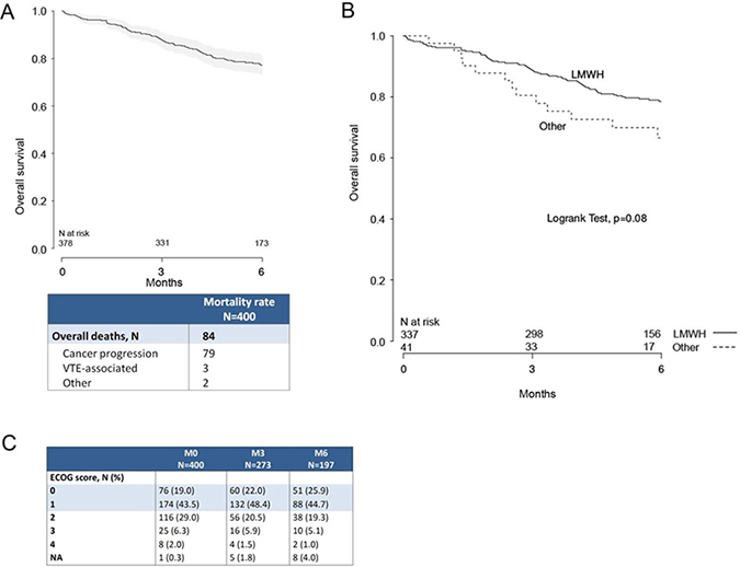 Survival at 3 and 6 months after initiation of anticoagulant therapy.