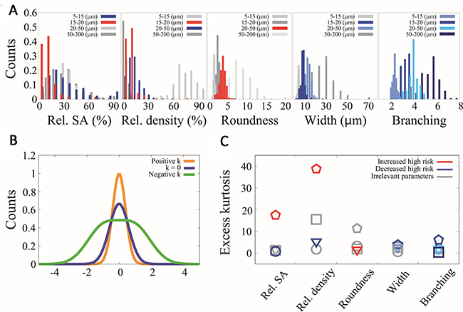 Histograms and kurtosis analysis for parameters related with high risk.