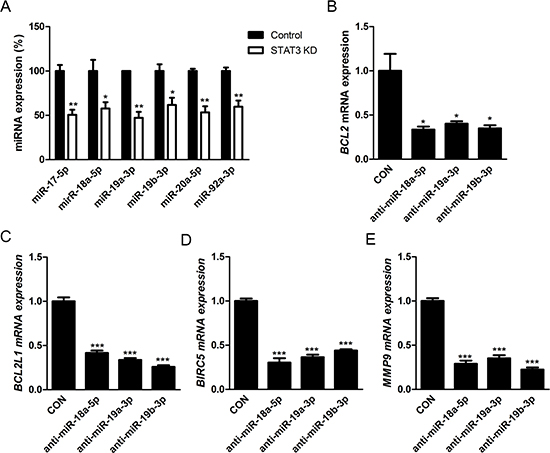 Effects of STAT3 activation on retinoblastoma cells are regulated by positive feedback loop of STAT3/miR-17-92 clusters.