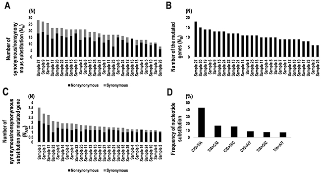 Summary of synonymous and nonsynonymous mutations and nucleotide substitutions in 27 PCNSL specimens.