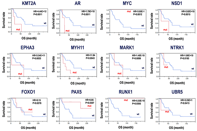 Candidates for prognosis markers derived from SNV and INDELs in PCNSLs.