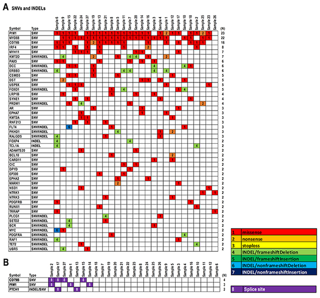 Summary of somatic mutations in 27 PCNSL specimens.