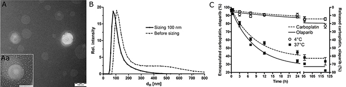 Characterization of the investigated nanoparticles.