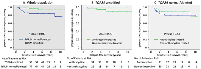 Prognostic value of TOP2A amplified and adjuvant anthracycline therapy in HER2 positive breast cancer.