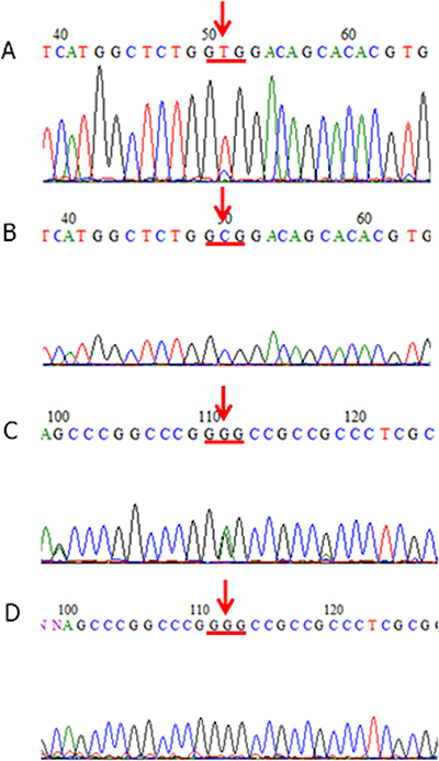 KCTD12 mutations in GISTs.