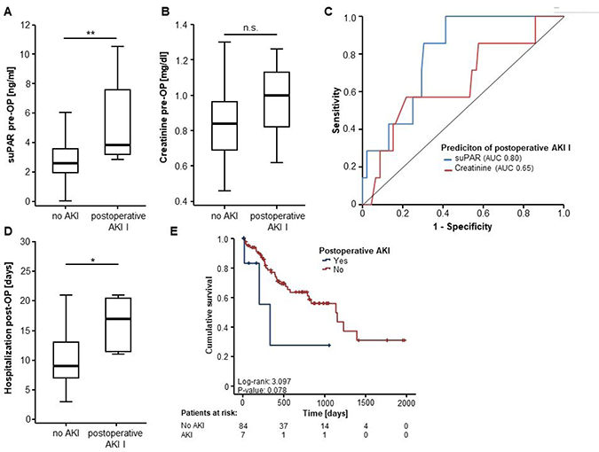 Preoperative levels of suPAR predict acute kidney injury after surgical resection of CRLM.