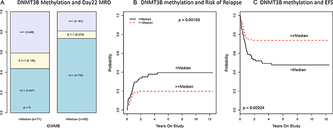 Association of DNMT3B methylation with MRD, risk of relapse and EFS in multicenter AML02 cohort.