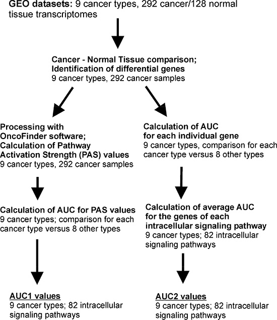 Outline of the bioinformatics procedures used to calculate AUC1 and AUC2 values.