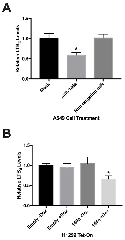 Increased miR-146a levels result in decreased cellular production of LTB4.
