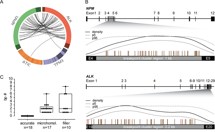 Breakpoint distribution in ALK and the respective fusion partner gene in 45 pediatric ALK-positive ALCL patients.