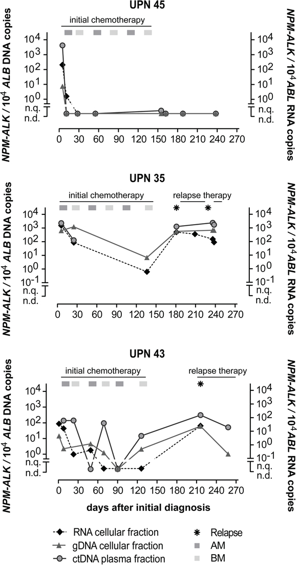 Quantification of NPM-ALK in ALCL patients.