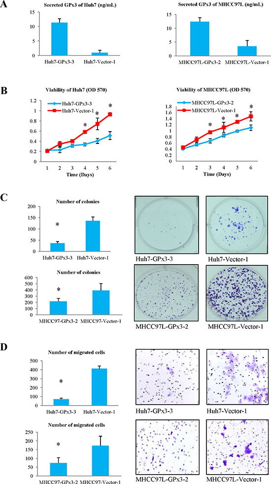 Effects of over-expression of GPx3 on HCC cells.