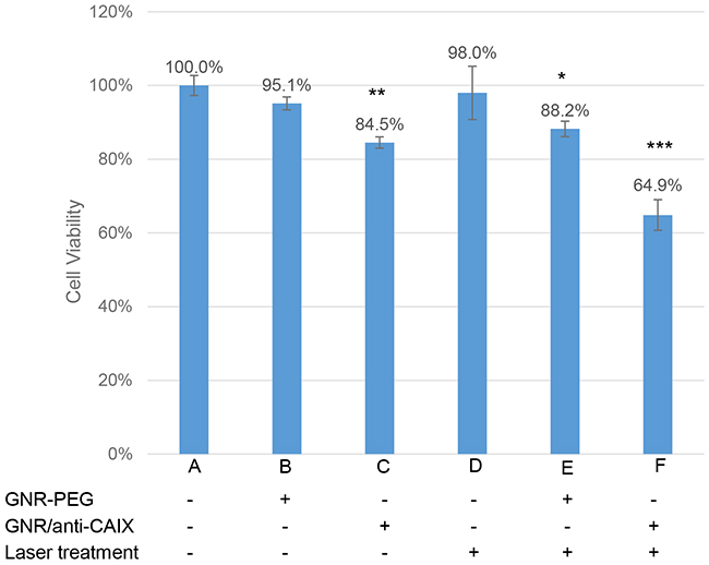 The survival percentage obtained for the HT29 cells after different treatment regimens.