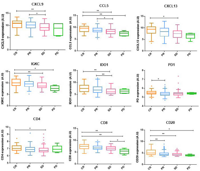 Immunological markers expression.