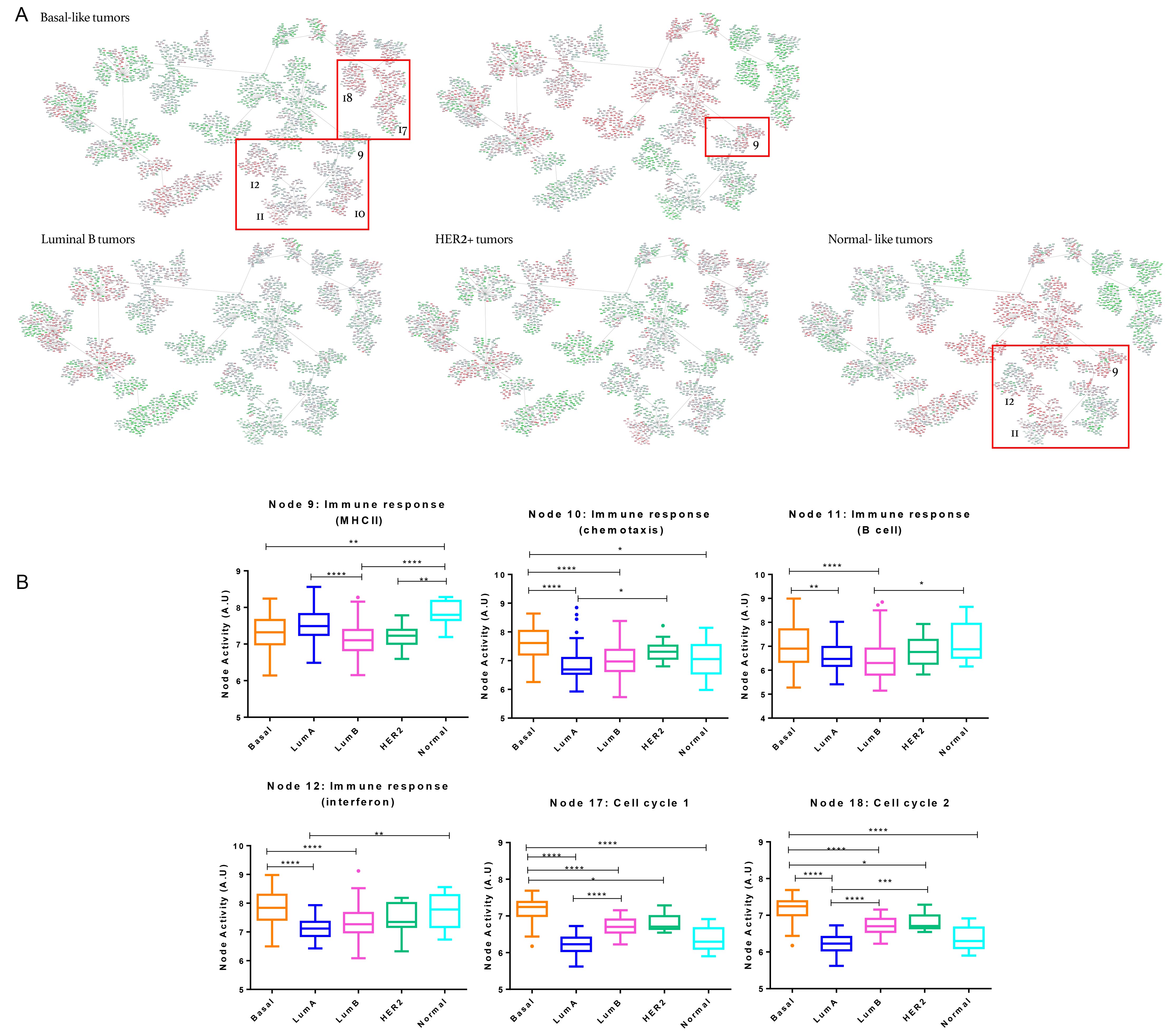 Breast cancer network by breast cancer molecular subtypes.