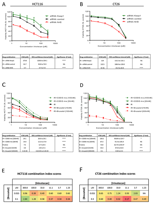 Assessment of cell viability for the combination of irinotecan with Nrf2 modulation.