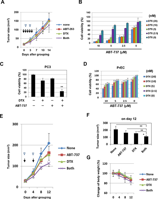 In vivo antitumor effect of DTX and ABT-737 on the growth of PC3 cells.