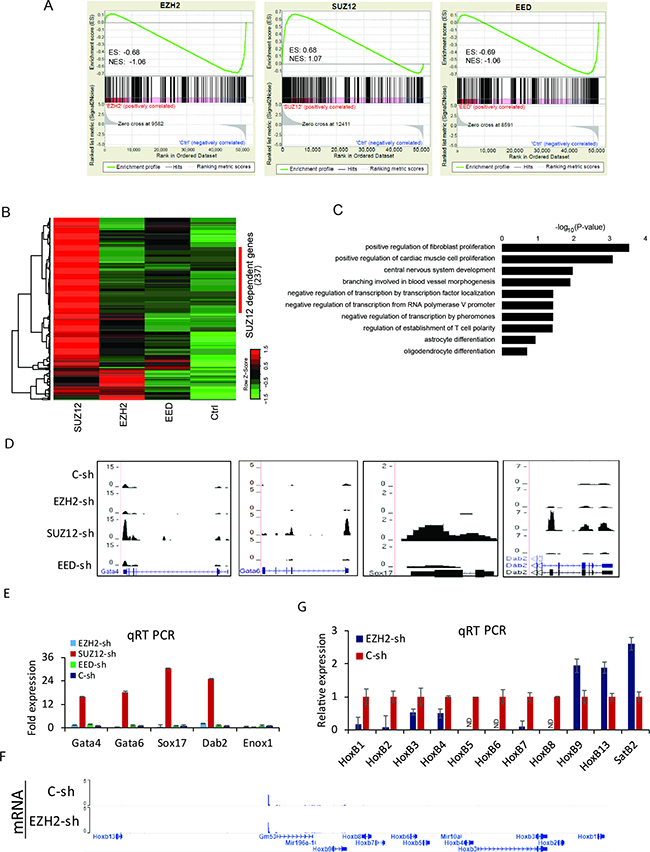 Transcriptome alterations in PRC2 depleted cells.