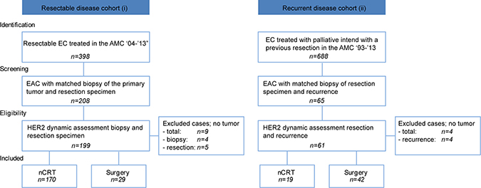 Flowchart of included patients in the resectable (i) and recurrent disease (ii) cohort.