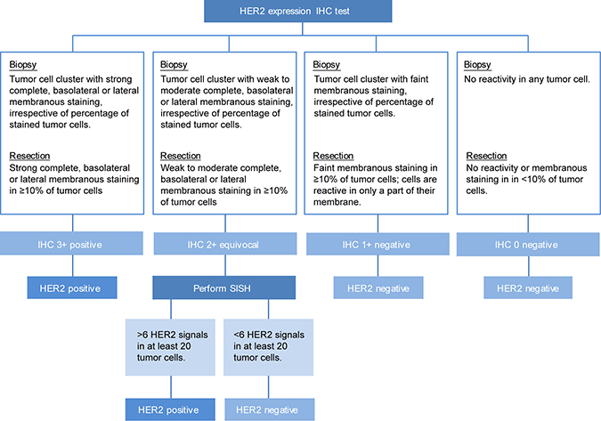 Flowchart of applied HER2 assessment for FFPE slides of biopsies, resection specimen and recurrences based on the ASCO guideline 2016 [29].