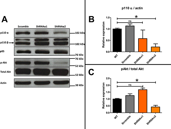 Figure 6: