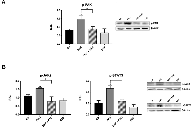 Figure 4: