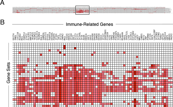 Immune-related genes associated with recurrent glioma.