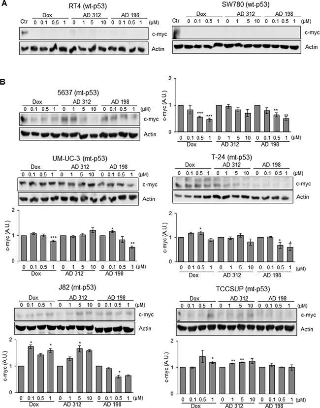 AD 198 decreased c-myc protein levels in mt-p53 bladder TCC cells.