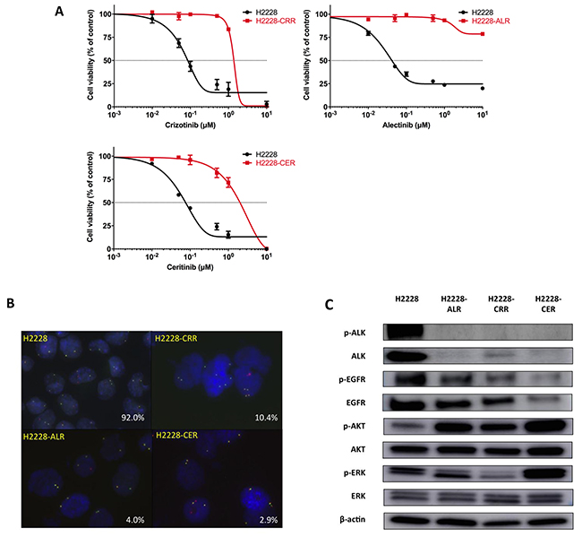 Establishment of ALK-TKI&#x2013;resistant H2228 cells.