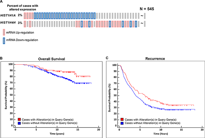 Expression levels of two HIST1 genes are associated with aggressive prostate cancer outcomes.