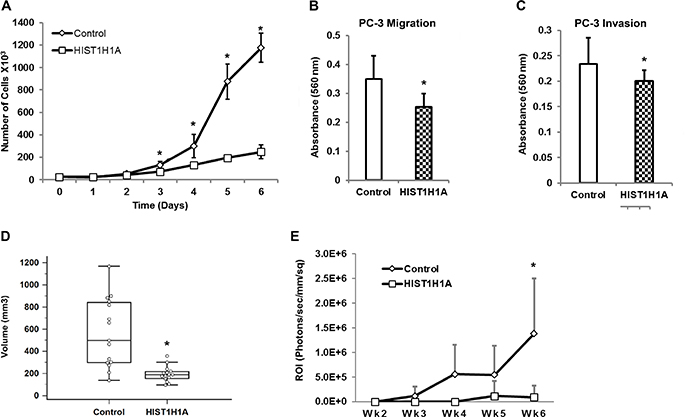 HIST1H1A inhibits cell growth, migration, and invasion both in vitro and in vivo in androgen receptor negative PC-3 cells.