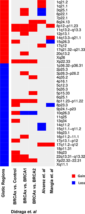 Heatmap representing the gains (in red) and losses (in blue) through aCGH found by GISTIC algorighm in common with previous studies by Didraga et al. (2011), Alvarez et al. (2016) and Mangia et al. (2008).