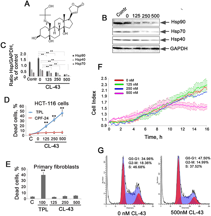 CL-43 inhibits the expression of three chaperones controlled by HSF1 and inhibits proliferation of HCT-116 cells.