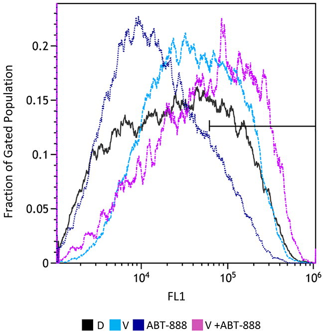 Combined treatment of vorinostat and ABT-888 increases cellular level of ROS: Cells were treated with 0.5 &#x03BC;M vorinostat (V), 10 &#x03BC;M ABT-888 or both.