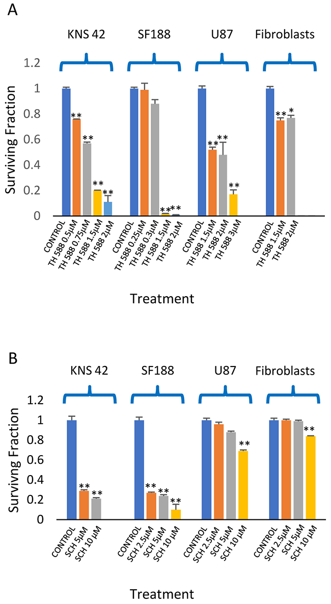 The effect of MTH1 inhibitors on the clonogenic survival of glioblastoma and fibroblasts: Colony survival assay was conducted as described in methods.