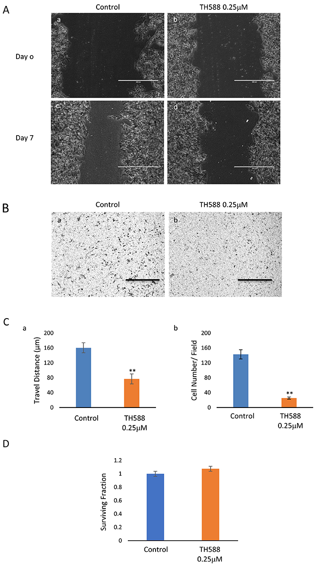 Figure 13: