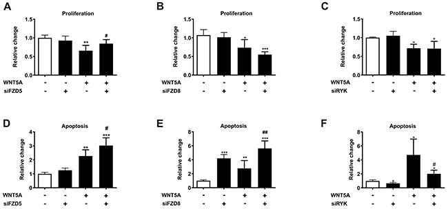 FZD5 and RYK mediate the anti-proliferative and pro-apoptotic effects of WNT5A in PC3 cells.