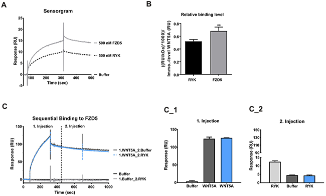 WNT5A showed higher binding response to FZD5.