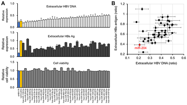 Identification of miR-204 as a candidate miRNA for HBV suppression.