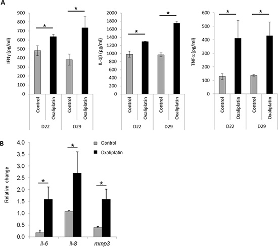 Expression of senescence-associated genes after oxaliplatin treatment in vivo and in vitro.
